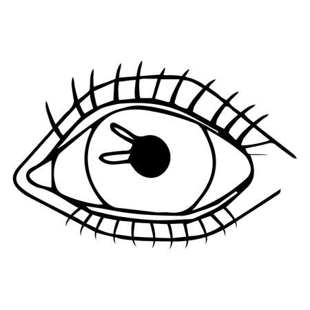 Eye isolated on white background. Human anatomy in doodle style. Outline design  shape eye. Vector illustration.のイラスト素材