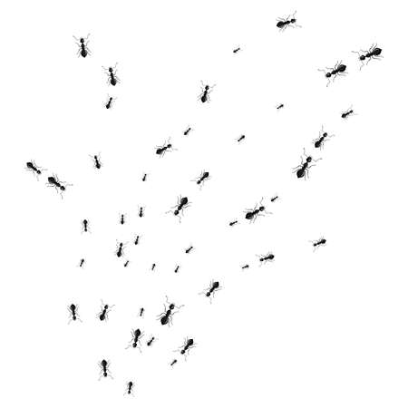 Various sizes ants walking trail different directions isolated on a white background. A line of ant column marching. Design flat nature elements. Vector illustration.のイラスト素材