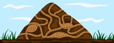 Ant family moving in tunnels anthill. Home of insects which life into hill. Vector cartoon close-up illustration. Teamwork concept. Vector illustration.のイラスト素材
