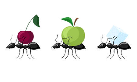 Set ants carrying different fruits isolated on white background. Colony of ants carrying apple, cherry, sugar and walking to the anthill. Vector illustration.のイラスト素材