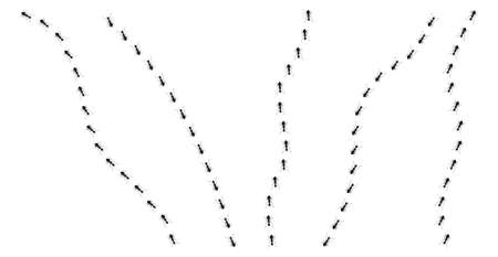 Ant trail different directions isolated on a white background. A line of ant column marching. Design flat nature elements. Vector illustration.のイラスト素材