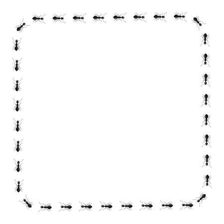 Square ants isolated on white background. Vector insects character in flat style for books illustration, design articles and magazines.のイラスト素材