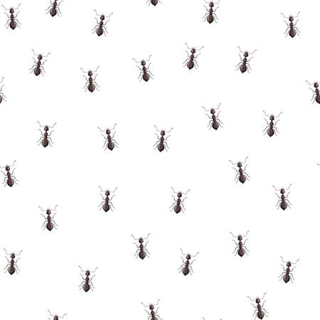 Seamless pattern colony ants on white background. Vector insects template in flat style for any purpose. Modern animals texture for fabric, wrapping paper, wallpaper, tissue, illustration.のイラスト素材
