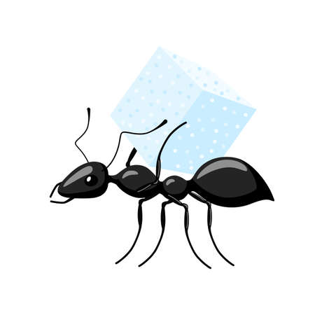 Ant carrying food isolated on white background. Bug carrying cube of sugar and walking to the anthill. Vector illustration.のイラスト素材