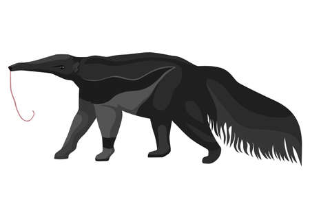 Anteaters illustration on isolated white background. Vector illustration animal from South America giant anteater. Simple design characters wildlife in flat style.のイラスト素材