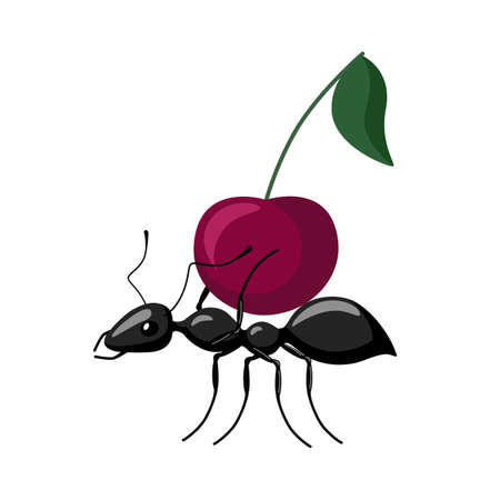 Ant carrying food isolated on white background. Bug carrying cherry and walking to the anthill. Vector illustration.のイラスト素材