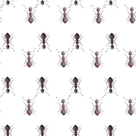 Seamless pattern colony ants on white background. Vector insects template in flat style for any purpose. Modern animals texture for fabric, wrapping paper, wallpaper, tissue, illustration.のイラスト素材