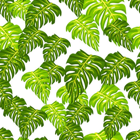 Monstera leaf seamless pattern with hand drawn tropical print. Modern nature background. Vector illustration for seasonal textile prints, fabric, banners, backdrops and wallpapers.のイラスト素材