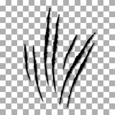 Claws scratches icon isolated on transparency background. Several forms nicks of wild animals. Vector Illustrationのイラスト素材