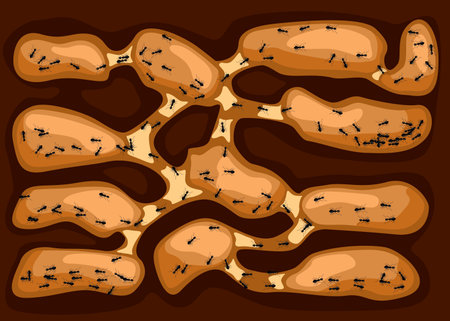 Ant family moving in tunnels anthill. Home of insects which life into earth. Vector cartoon close-up illustration. Teamwork concept. Vector illustration.のイラスト素材