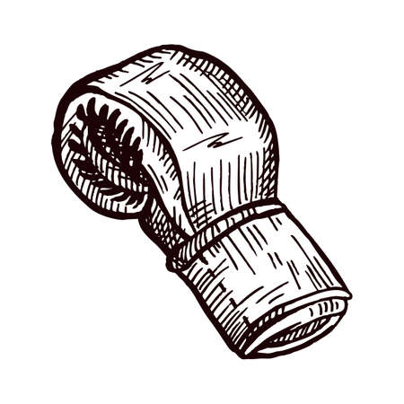 Boxing gloves side sketch isolated. Sporting equipment for boxing in hand drawn style. Engraved design for poster, print, book illustration, logo, icon, tattoo. Vintage vector illustration.のイラスト素材