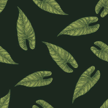 Engraving leaf araceae seamless pattern. vintage leaves background. Repeated texture in hand drawn style for fabric, wrapping paper, wallpaper, tissue. vector illustration.のイラスト素材
