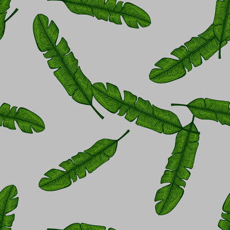 Banana leaves seamless pattern.Vintage tropical branch in engraving style. Hand drawn texture for fabric, wallpaper, textile, print, wrapping paper. vector illustration.のイラスト素材