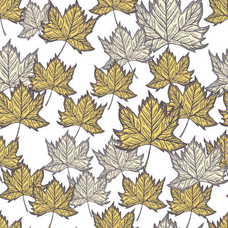 Leaves maple engraved seamless pattern. Vintage background botanical with canadian foliage in hand drawn style. Vector repeated color design texture for print, fabric, wrapping, wallpaper, tissue.のイラスト素材