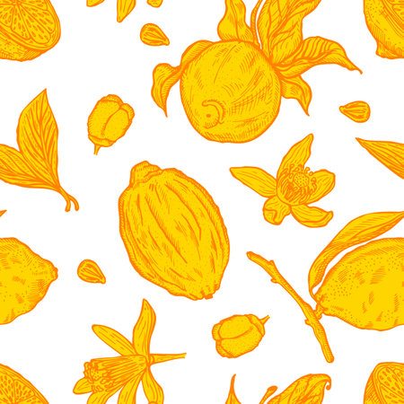 Engraving lemons seamless pattern. Vintage background with whole lemon, sliced, half, leaf, flowers and seed in hand drawn style. Citrus design texture for print, fabric, wrapping, wallpaper, tissue.のイラスト素材