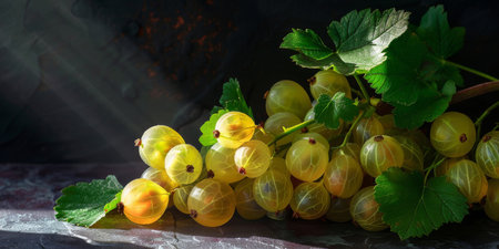 A cluster of fresh green gooseberry hanging from a tree, soaked in sunlight. The vibrant fruits are ripe and ready to be harvested for consumption.の素材
