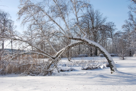 Winter Picture from Maribo in Denmark の写真素材