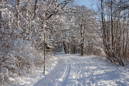 Winter picture from Maribo city of Lollandの写真素材
