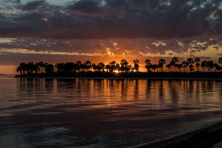 Sunset and palm trees at Fred Howard Park, Tarpon Springs, Floridaの写真素材