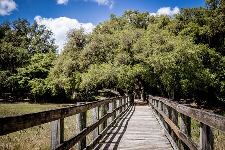 wooden boardwalk at Crews Lake Wilderness Park, Spring Hill, Floridaの写真素材