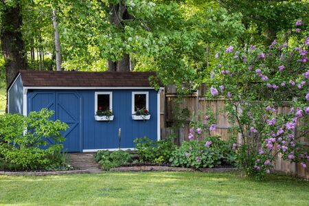 blue she-shed in the garden in summerの写真素材