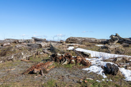 View from Albert Head Lagoon Regional Park, British Columbia, Canada