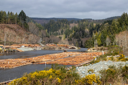 Log boom on the Jordan River on Vancouver Island in British Columbia