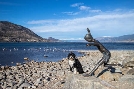 Penticton, British Columbia, Canada - November 8, 2021: A dog sitting on the empty beach at Okanagan Lake beside The Romp by sculptor Chong Fahcheong.のeditorial素材