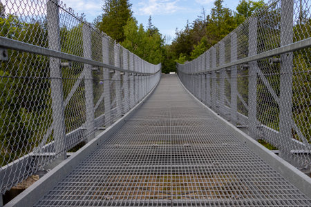 Ranney Gorge Suspension Bridge in Campbellford, Ontario, Canadaの写真素材