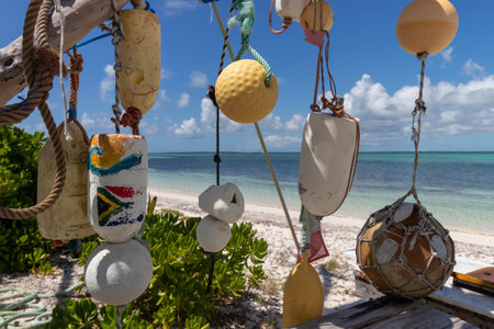 Colourful fishing buoys hanging on a tree on a tropical beach.
