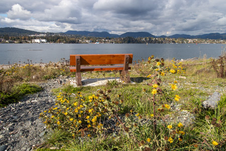 Wooden bench on the shore of Whiffen Spit in Sooke, British Columbiaの写真素材