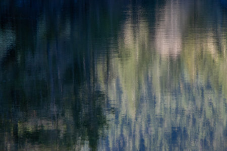 Reflection of trees in the water. Abstract background, texture.