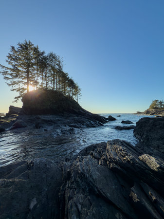 Unique rock formations at Botanical Beach on Vancouver Islandの写真素材