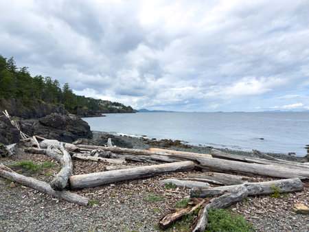 Driftwood logs on the beach on a cloudy day at Neck Point Park in Nanaimo, British Columbia