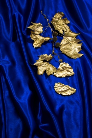 Bright gold leaves form patterns against a blue satin background の写真素材