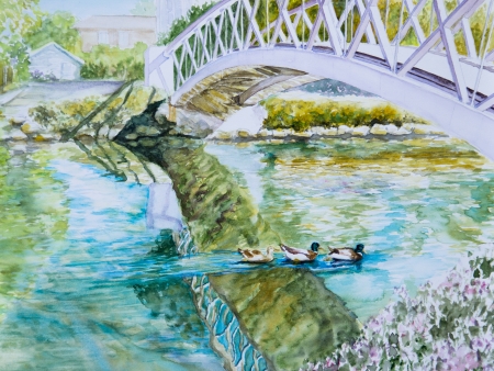 A trio of ducks swim together under a bridge on a canal in Venice, CA, in a watercolor painting の写真素材