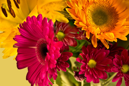 A showy magenta flower stands out in a bouquet of mixed bright flowers.の写真素材