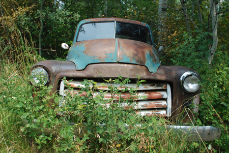 Old Truck in the Woods in Summerの写真素材
