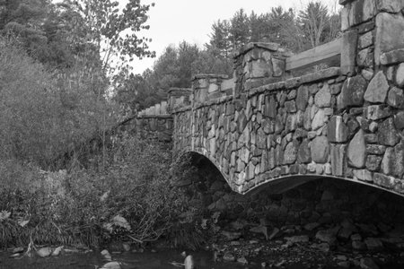 Stone Bridge Over Stream