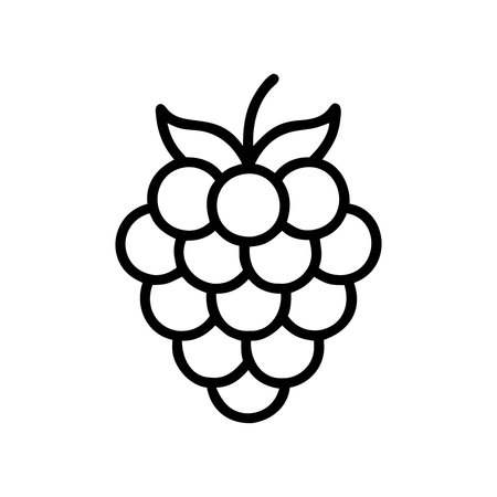 Raspberry icon vector. A thin line sign. Isolated contour symbol illustrationのイラスト素材