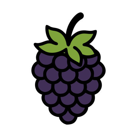 bunch of grapes fruit icon vector illustration design graphic flat style shadow