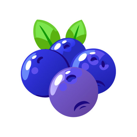 Blueberry with leaves. Vector illustration isolated on a white background.のイラスト素材