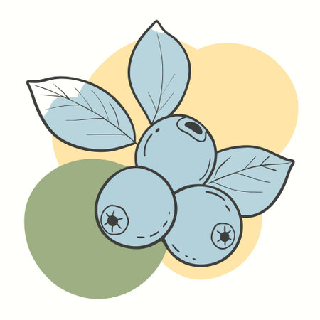 Blueberry icon. Vector illustration of a blueberry with leaves.のイラスト素材