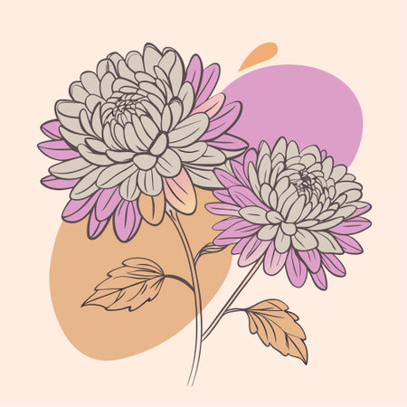 Dahlia flowers on a beige background. Vector illustration.のイラスト素材