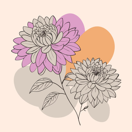 Hand drawn dahlia flowers on pastel background. Vector illustration.のイラスト素材
