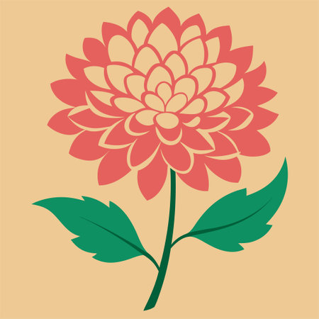 Dahlia flower on a colored background. Vector illustration for your designのイラスト素材