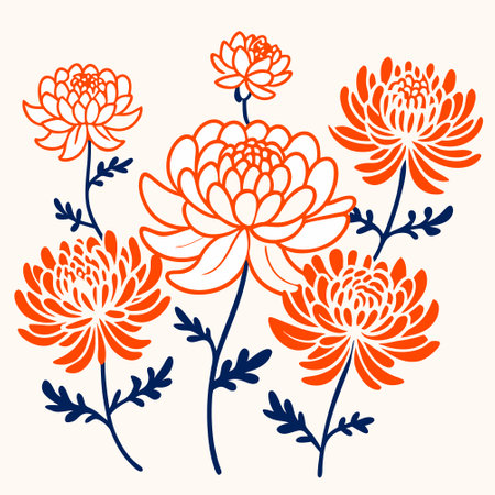 Chrysanthemum flowers set. Hand drawn vector illustration.のイラスト素材