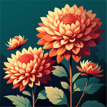Floral background with chrysanthemums. Vector illustration.のイラスト素材