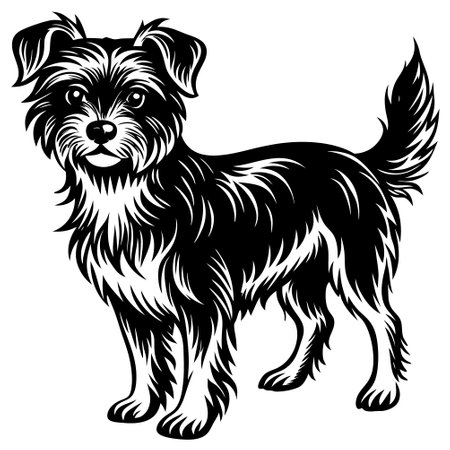 Yorkshire Terrier - black and white vector illustration for tattoo.のイラスト素材