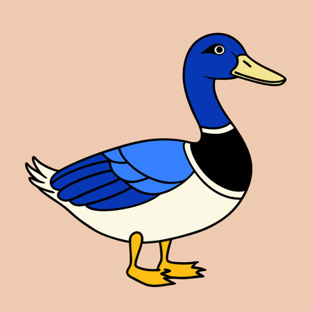 Vector illustration of a blue duck. Isolated on a light background.のイラスト素材